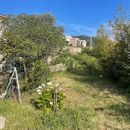 דירה Grand F4 En Rez De Jardin